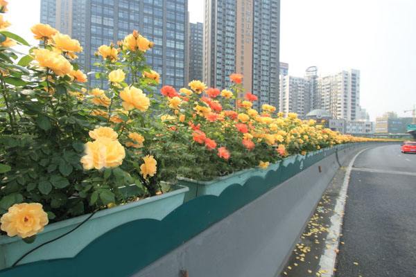 玻璃鋼花盆